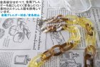 他の写真2: 【送料無料】◆flower storm◆長さ約60cm アクリルチェーンネックレス 2種 Yellow×White, Yellow×Brown （アクセサリー 大ぶり ボリューム 季節感 春夏 レディース  日本製））