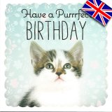 画像: イギリス製グリーティングカード(message:Have a Purrrfect BIRTHDAY)